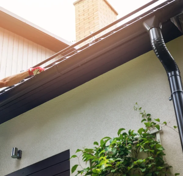 gutter cleaning